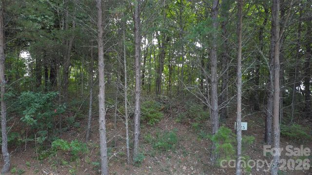 275 Kincaid Place 275, Mill Spring, NC 28756