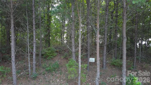 275 Kincaid Place 275, Mill Spring, NC 28756