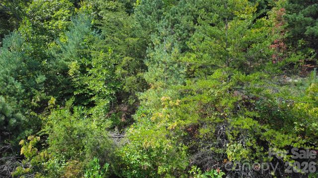 275 Kincaid Place 275, Mill Spring, NC 28756