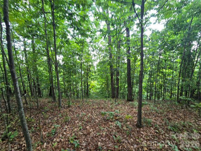 275 Kincaid Place 275, Mill Spring, NC 28756