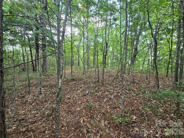 275 Kincaid Place 275, Mill Spring, NC 28756