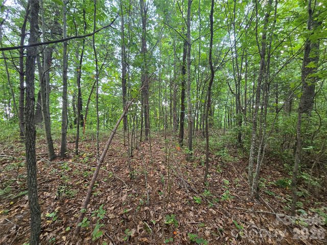 275 Kincaid Place 275, Mill Spring, NC 28756