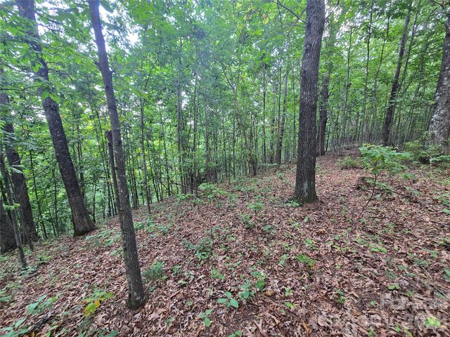 275 Kincaid Place 275, Mill Spring, NC 28756