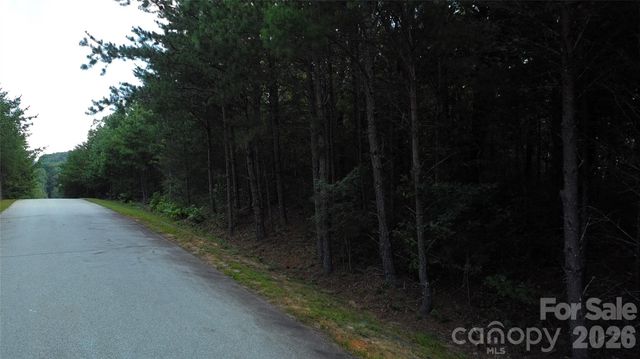 275 Kincaid Place 275, Mill Spring, NC 28756