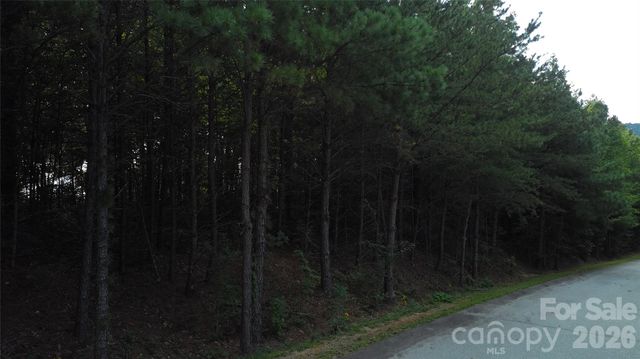 275 Kincaid Place 275, Mill Spring, NC 28756