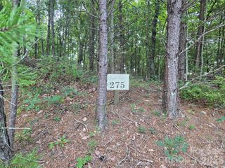 275 Kincaid Place 275, Mill Spring, NC 28756