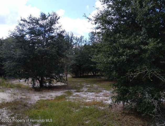 1826 SE 44th Place, Bushnell, FL 33513