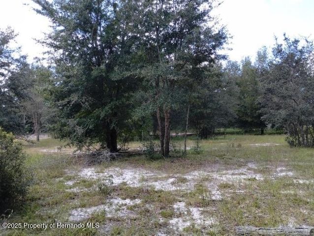 1826 SE 44th Place, Bushnell, FL 33513