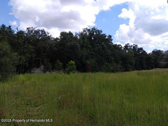 1826 SE 44th Place, Bushnell, FL 33513