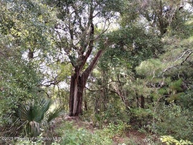 1826 SE 44th Place, Bushnell, FL 33513