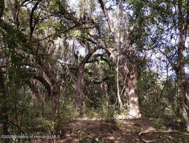 1826 SE 44th Place, Bushnell, FL 33513