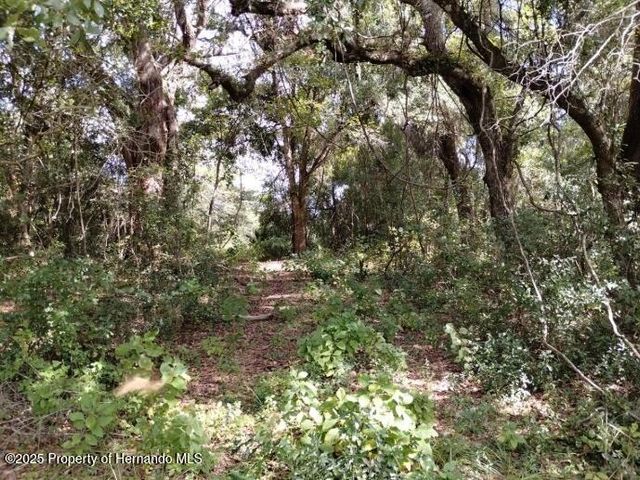 1826 SE 44th Place, Bushnell, FL 33513