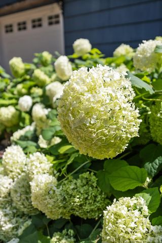 1120 Broadway N, Fargo, ND 58102