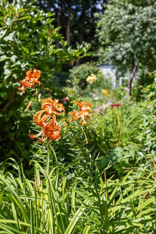 1120 Broadway N, Fargo, ND 58102