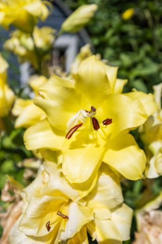 1120 Broadway N, Fargo, ND 58102