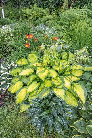 1120 Broadway N, Fargo, ND 58102