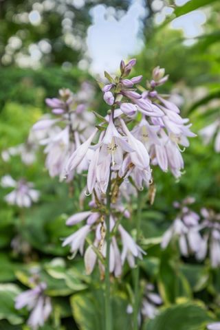 1120 Broadway N, Fargo, ND 58102