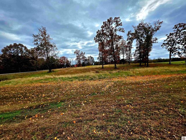 4835 Airport rd, Almo, KY 42020