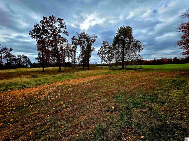 4835 Airport rd, Almo, KY 42020