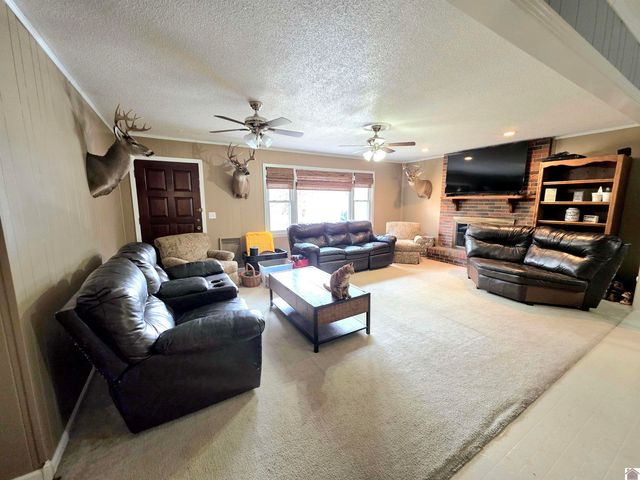 4835 Airport rd, Almo, KY 42020