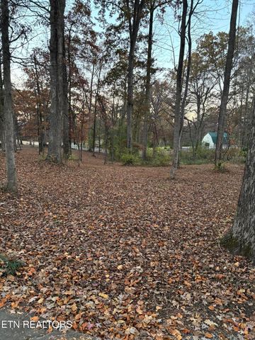 201 Ridge Rd, Maryville, TN 37803