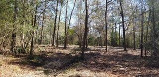 TBD Linwood, Conroe, TX 77304