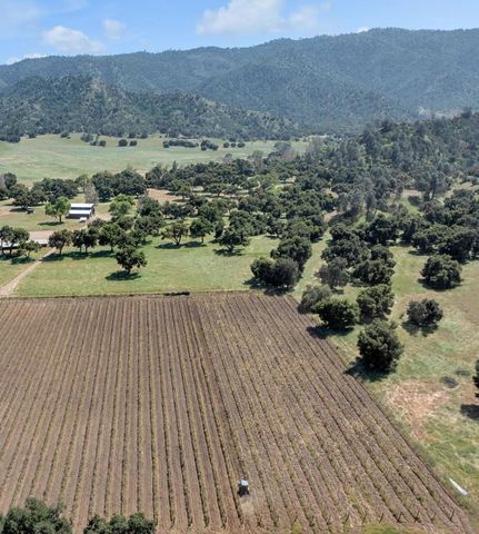 770 Limekiln Road, Hollister, CA 95023