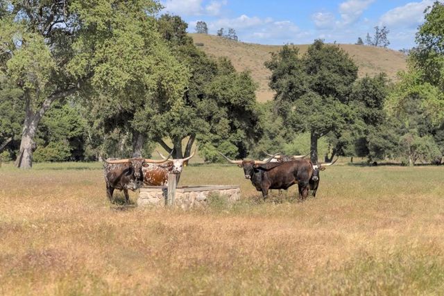 770 Limekiln Road, Hollister, CA 95023