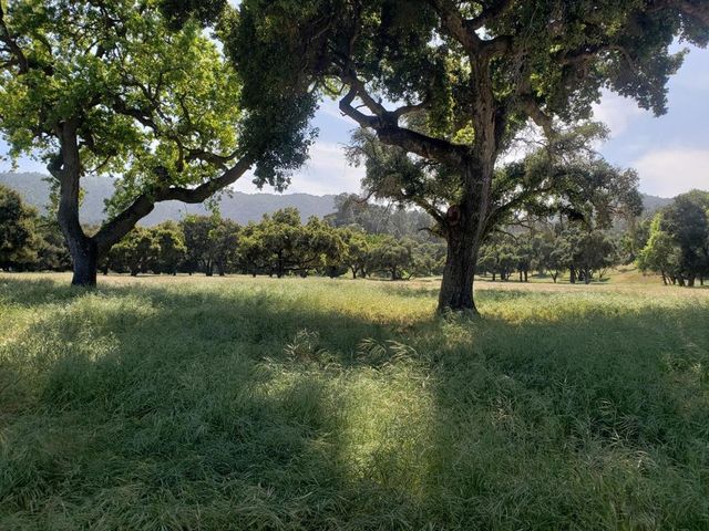 770 Limekiln Road, Hollister, CA 95023