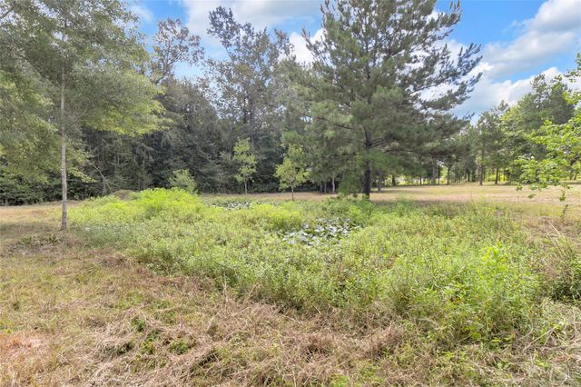 310 County Road 3280, Cleveland, TX 77327