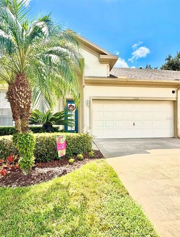 1326 BIG PINE DRIVE, Valrico, FL 33596