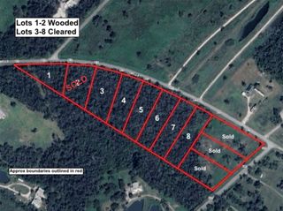 Lot 1 County Road 819, Brazoria, TX 77422