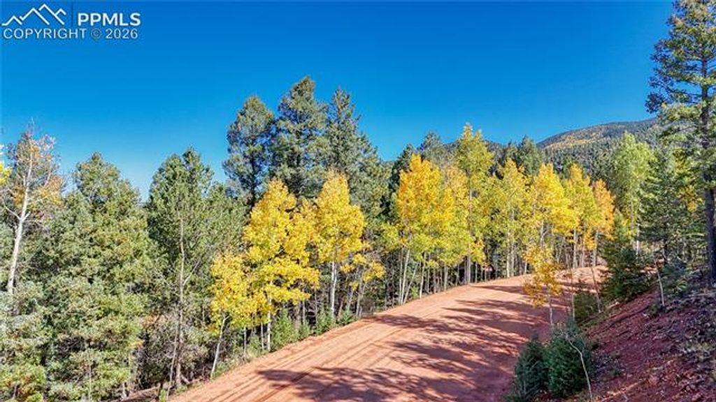 959 Calcite Drive, Divide, CO 80814 — photo 2