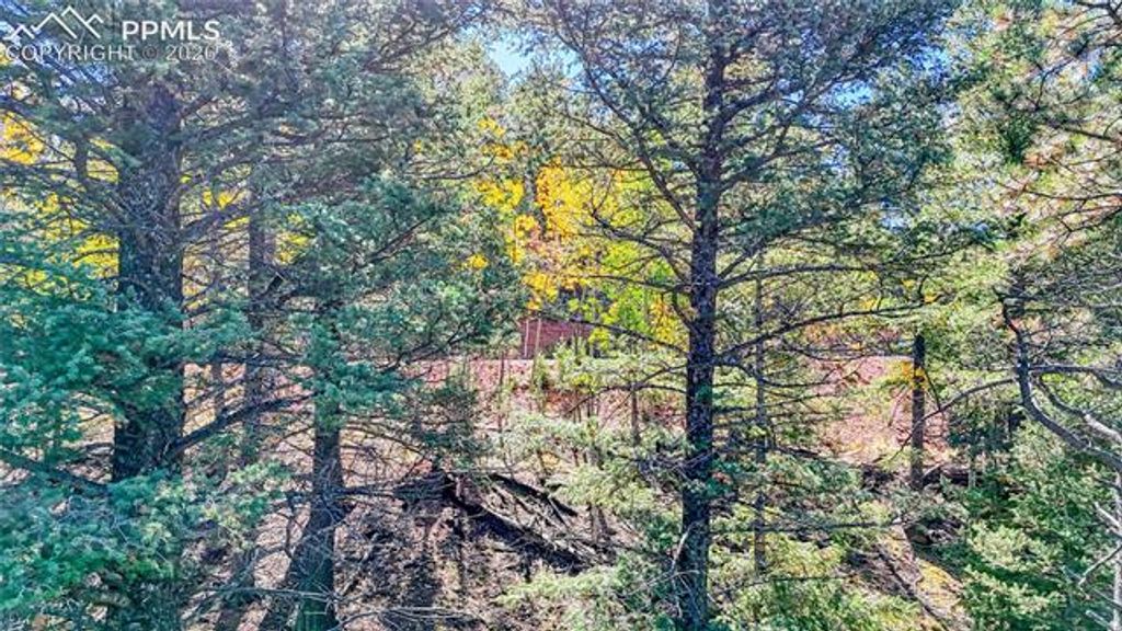 959 Calcite Drive, Divide, CO 80814 — photo 5