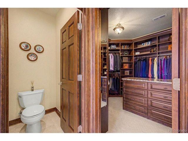 10492 Rivington Ct, Lone Tree, CO 80124