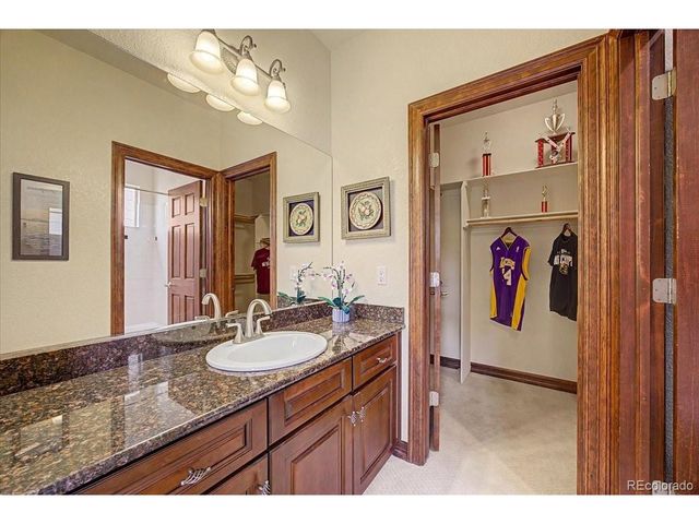 10492 Rivington Ct, Lone Tree, CO 80124