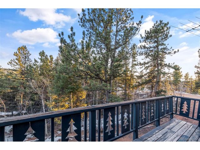 832 Spring Valley Dr, Divide, CO 80814
