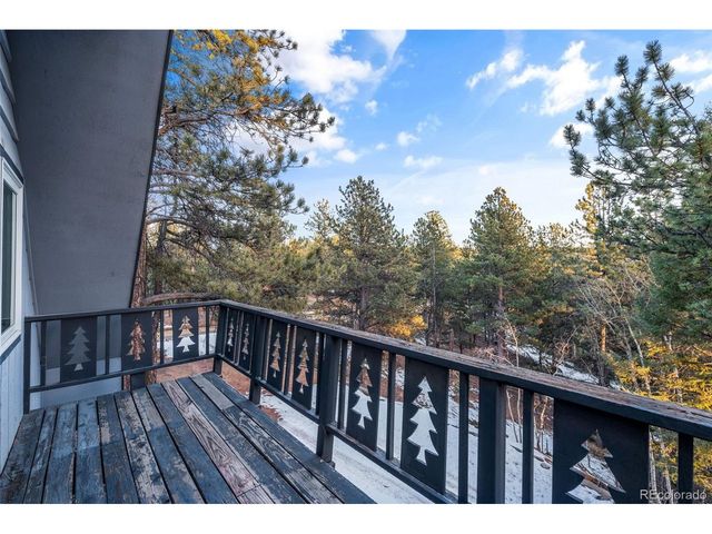 832 Spring Valley Dr, Divide, CO 80814