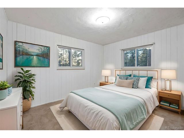 832 Spring Valley Dr, Divide, CO 80814