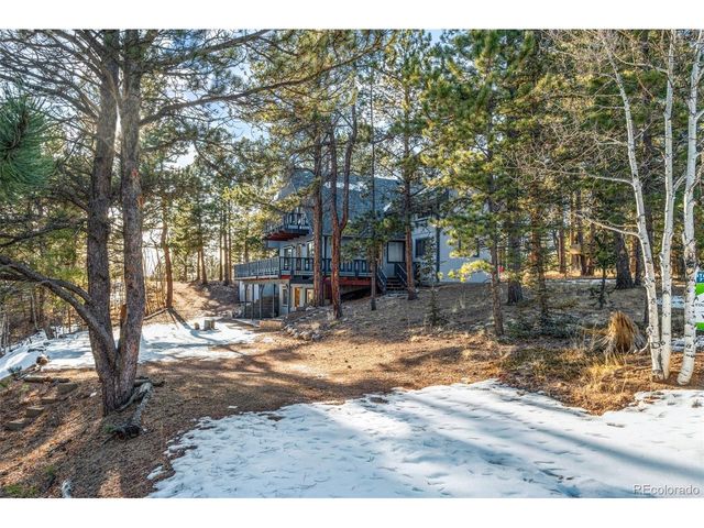 832 Spring Valley Dr, Divide, CO 80814