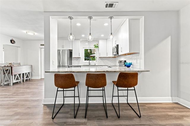 1317 DIVOT LANE, Tampa, FL 33612