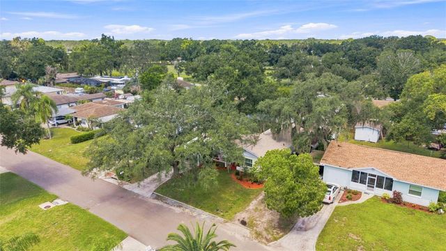 1317 DIVOT LANE, Tampa, FL 33612