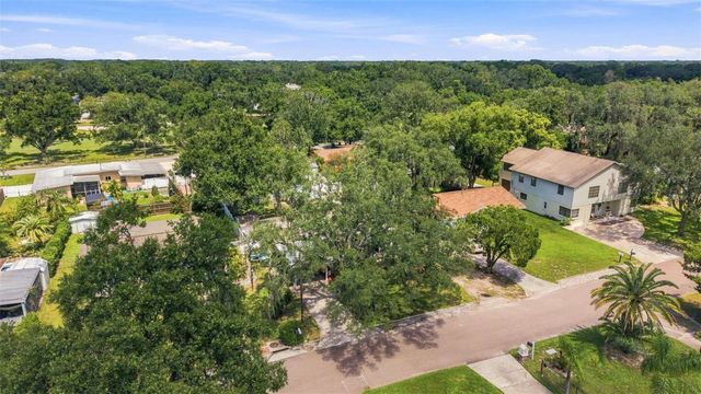 1317 DIVOT LANE, Tampa, FL 33612