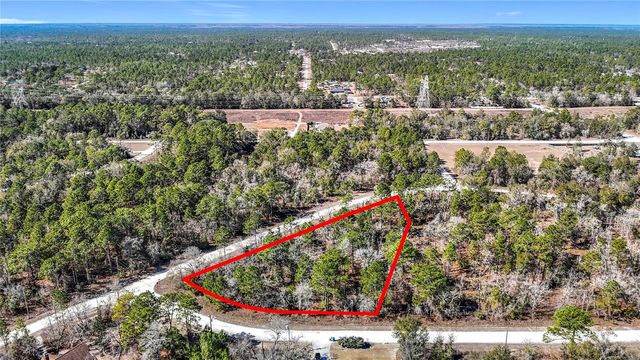 16070 SHELDRAKE LOOP, Weeki Wachee, FL 34614
