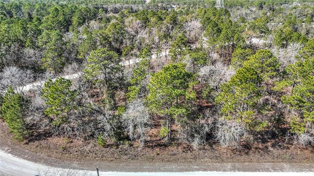 16070 SHELDRAKE LOOP, Weeki Wachee, FL 34614