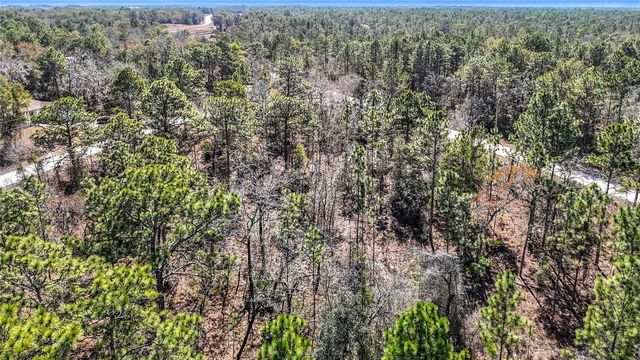 16070 SHELDRAKE LOOP, Weeki Wachee, FL 34614