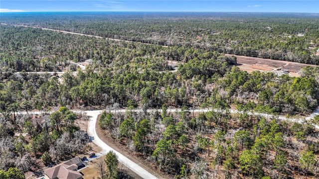16070 SHELDRAKE LOOP, Weeki Wachee, FL 34614