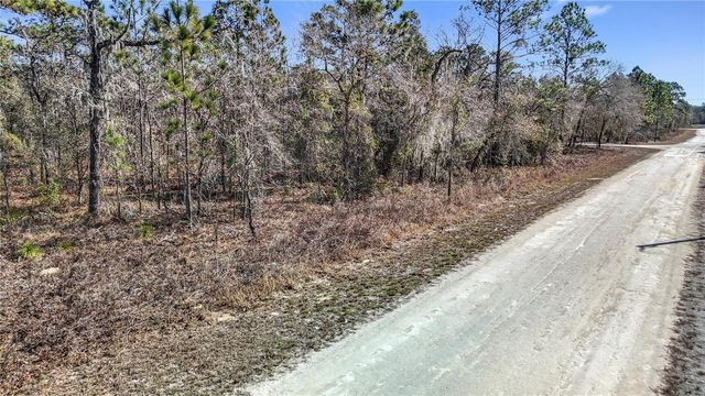 16070 SHELDRAKE LOOP, Weeki Wachee, FL 34614