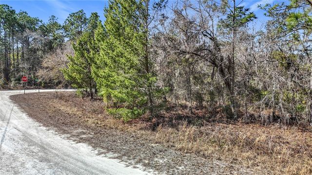 16070 SHELDRAKE LOOP, Weeki Wachee, FL 34614