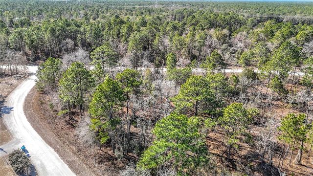 16070 SHELDRAKE LOOP, Weeki Wachee, FL 34614